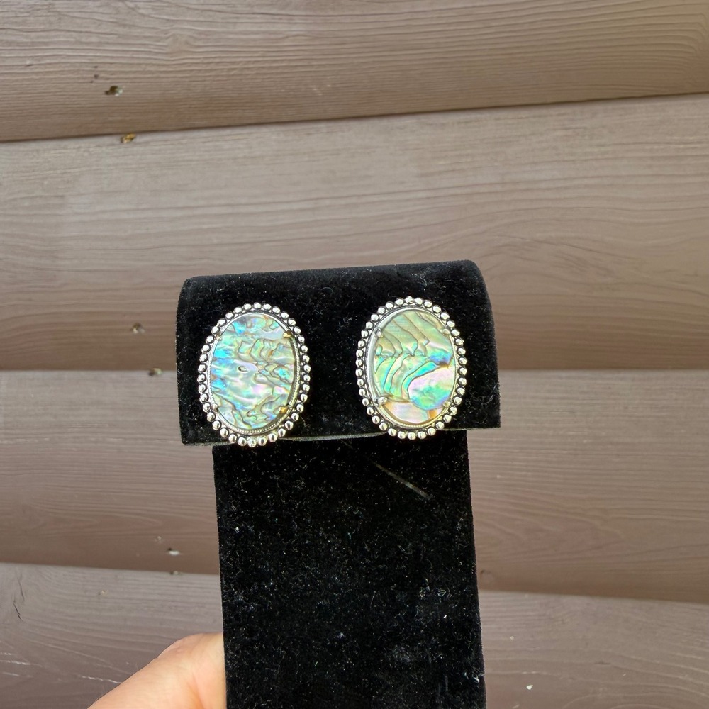 Vintage Abalone Shell Screw Back Earrings Womens Silver Tone Iridescent Oval